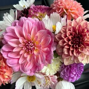 Meet your Posher, Leslie